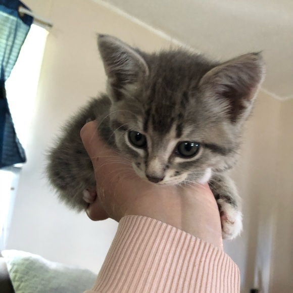 Meet your Posher, Jennie - Picture 2 of 10